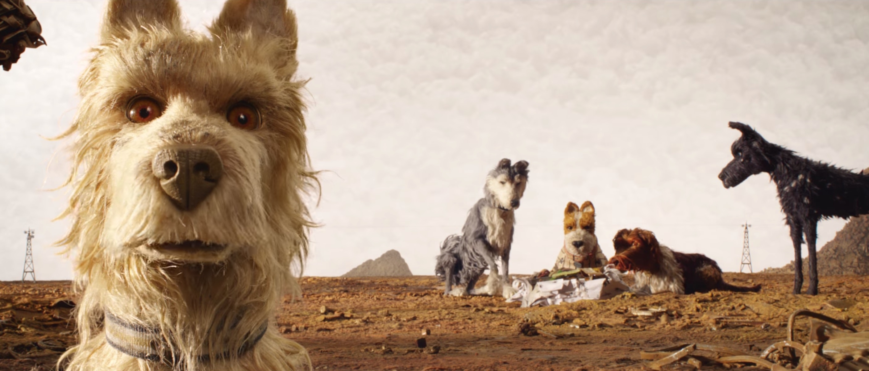 Isle of Dogs – The Mirror