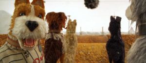 Fellowship of the Dog