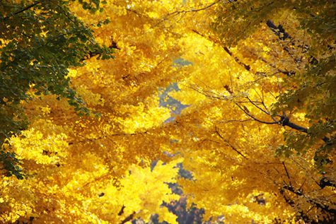 The Vocal Department to Present Annual Fall Concert