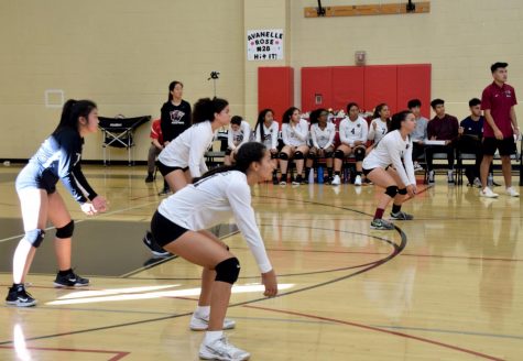 <b>The Cougars Pounce On The Wolves</b>