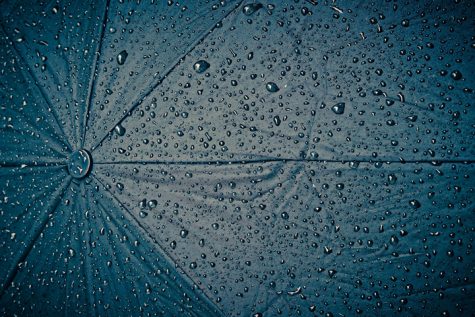 Raindrops on a black umbrella