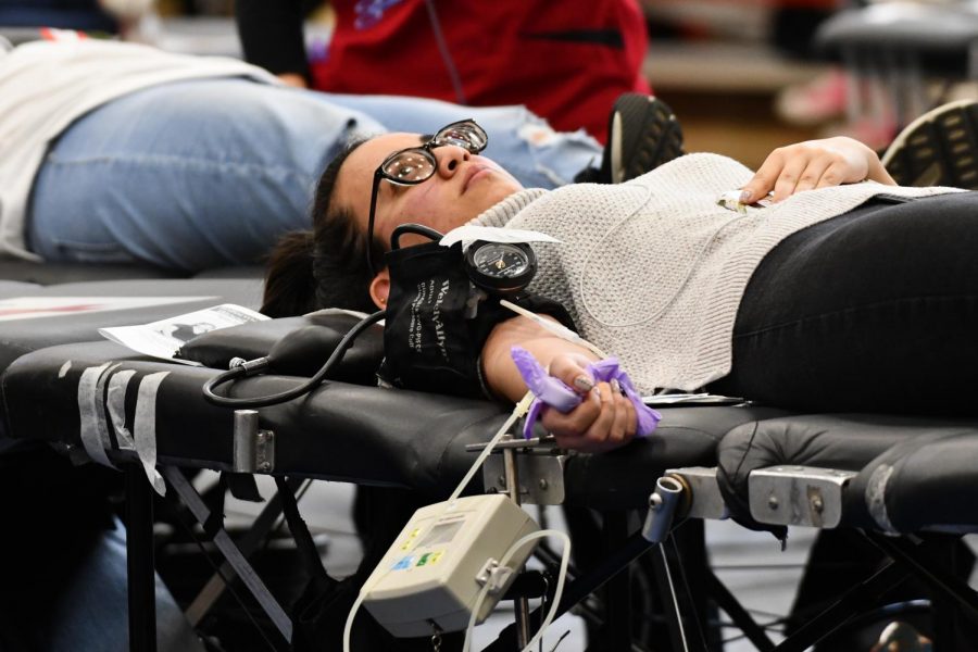 Senior Sandy Mourad lies on a gurney while donating blood