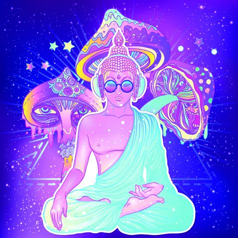 <b>The Psychedelic Renaissance</b>