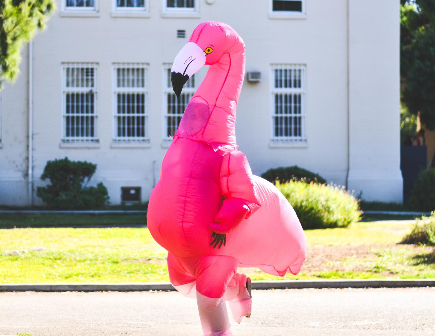 Halloween costume craziness