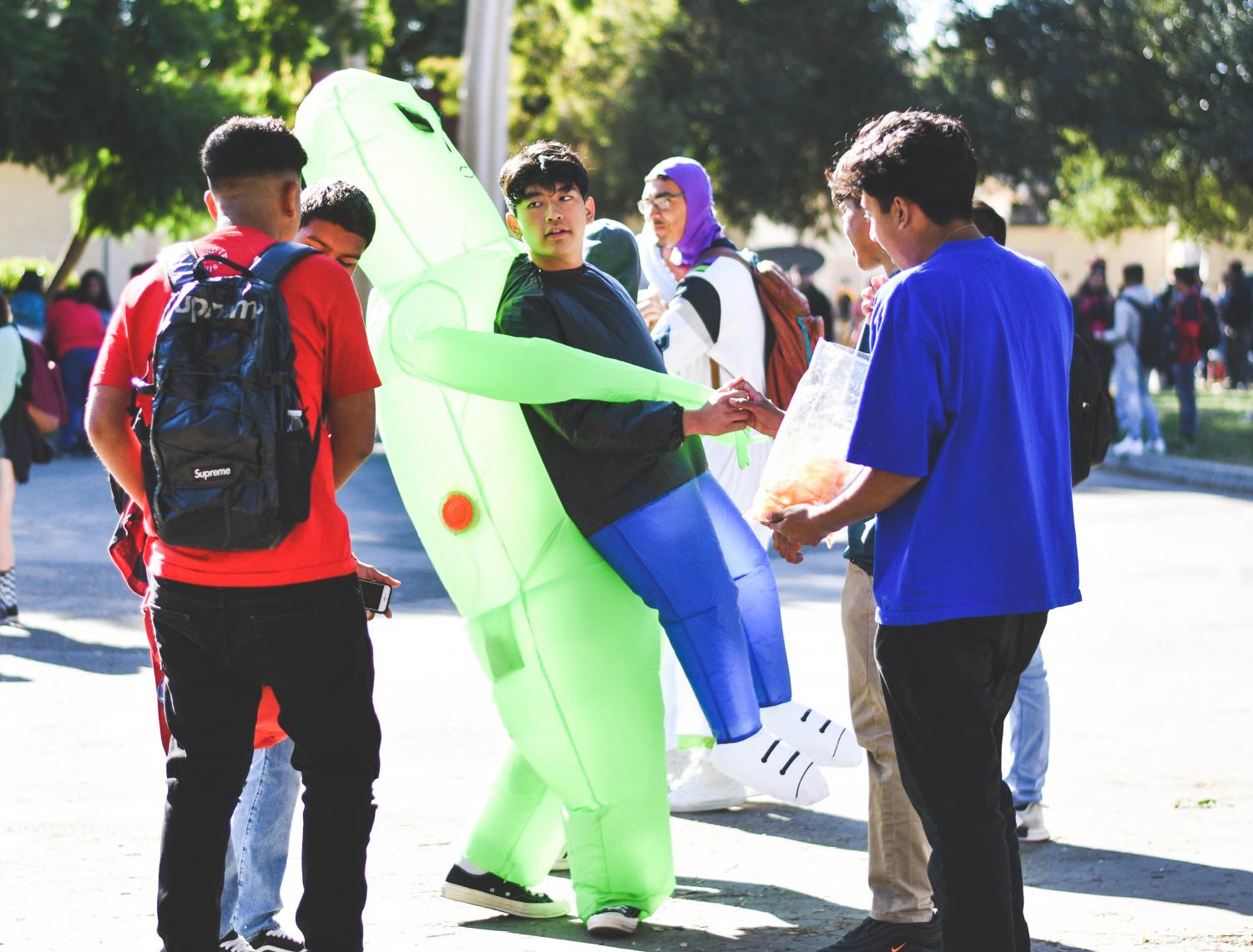 Halloween costume craziness