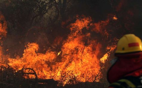 The Amazon: A Forest in Flames