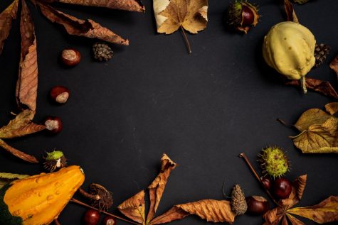 Thanksgiving Recipes
