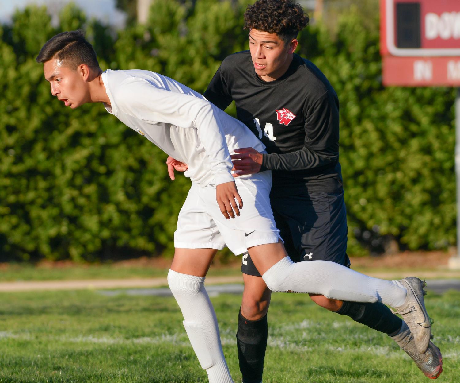 Boys Soccer Ties With San Fernando Tigers