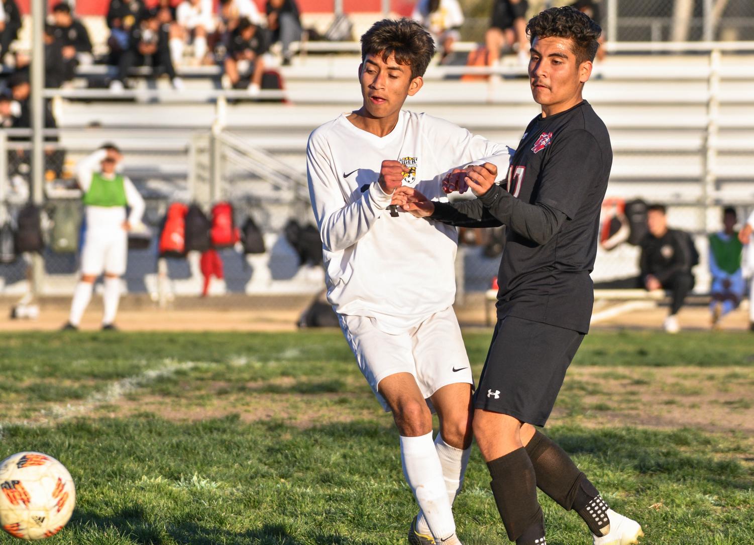 Boys Soccer Ties With San Fernando Tigers