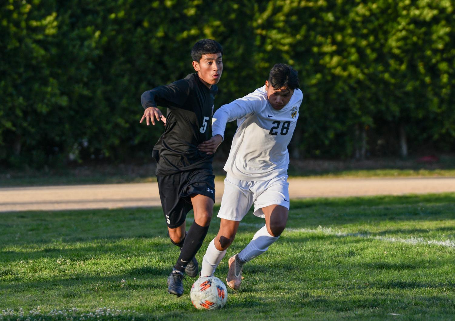 Boys Soccer Ties With San Fernando Tigers