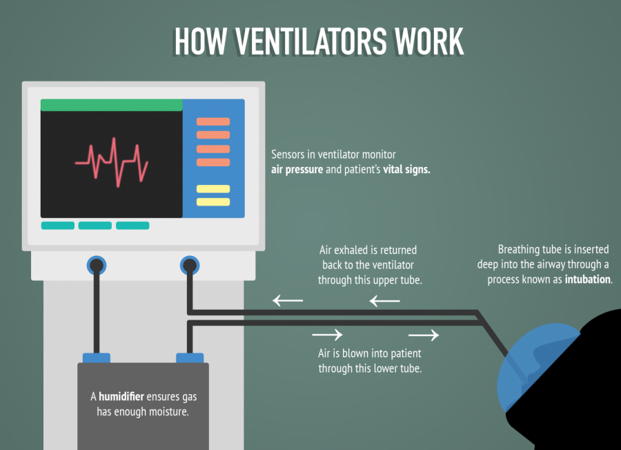 An infographic describing how ventilators work.