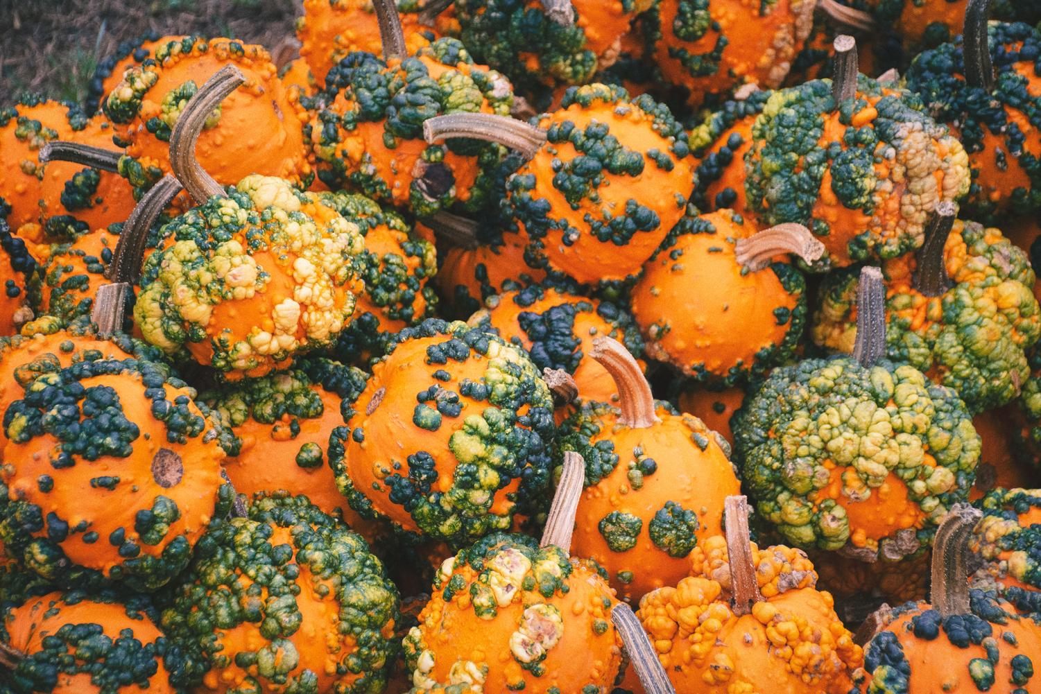 Celebrate safely with these scary pictures around the neighborhood