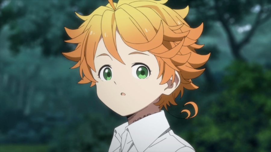 ✓ The Promised Neverland