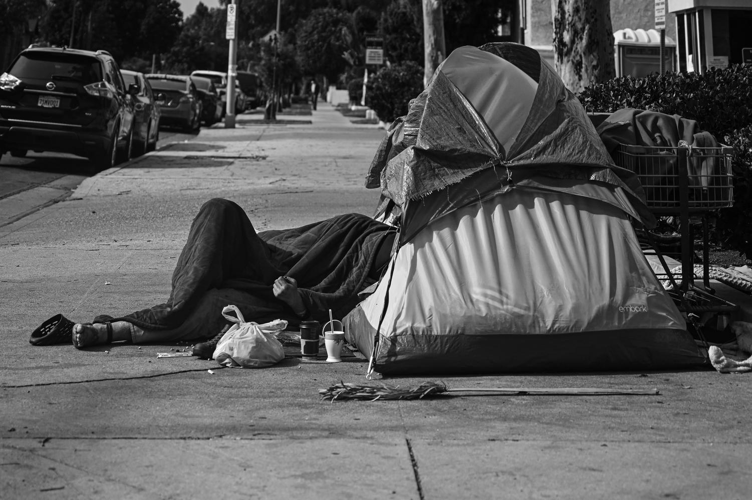 PHOTO OF THE WEEK: business in Van Nuys