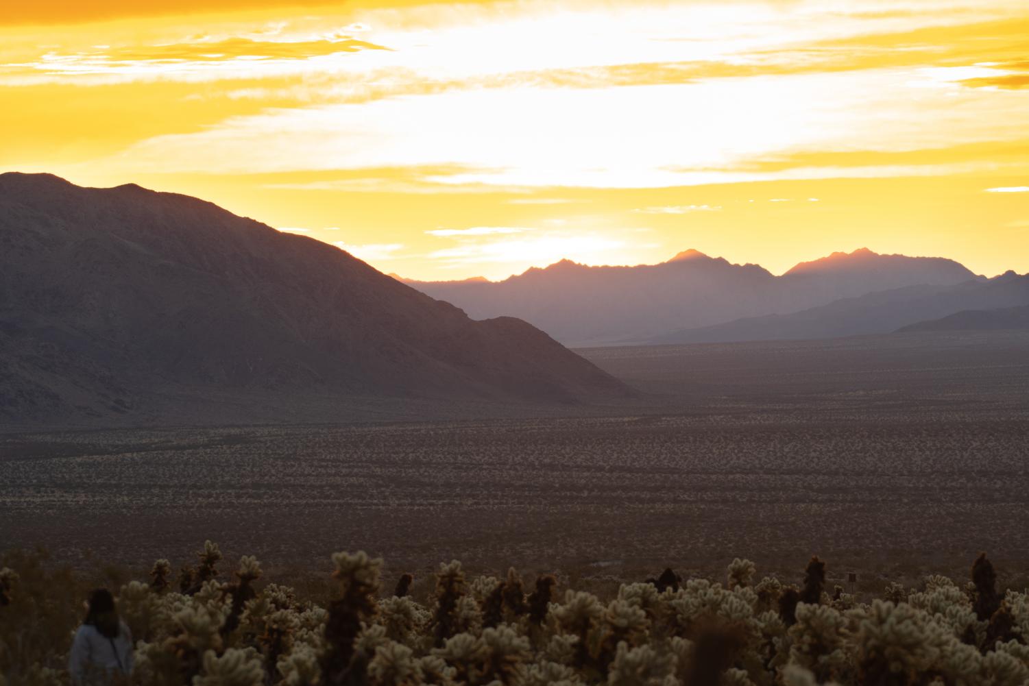 A three hour drive from the San Fernando Valley, Joshua Tree National Park is worth the trip