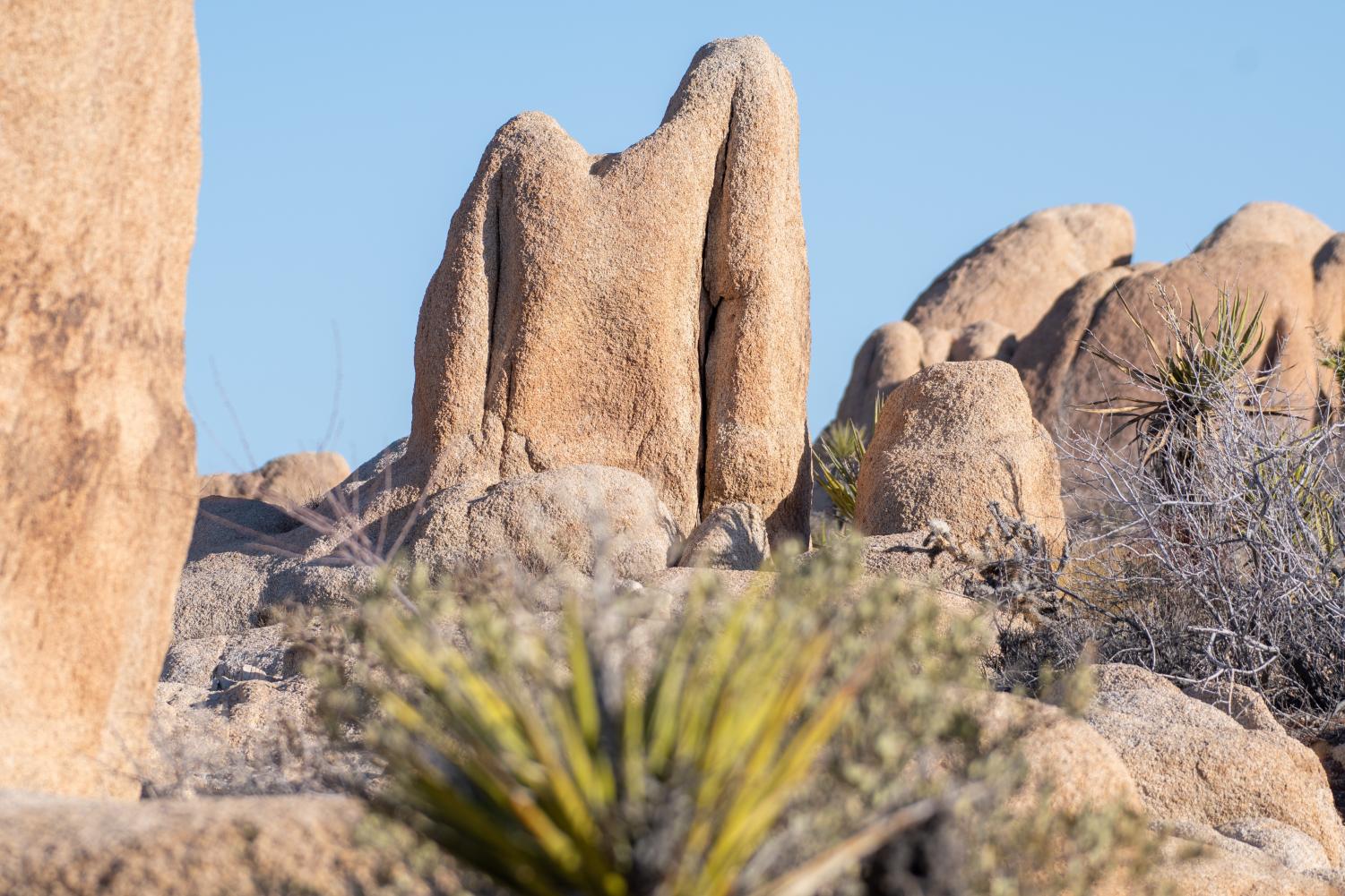 A three hour drive from the San Fernando Valley, Joshua Tree National Park is worth the trip
