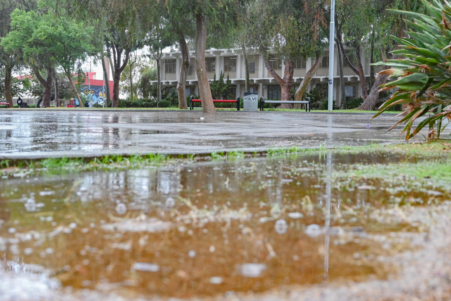 Drizzled and drenched on campus