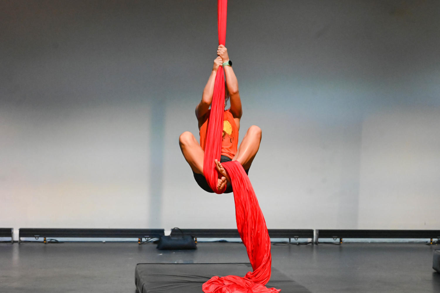 Hanging on: Reesa Partida puts her aerial skills on display