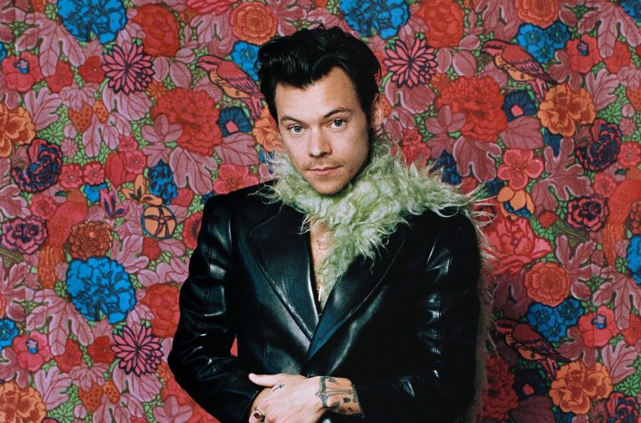 He puts the style in Harry Styles! The former One Direction band member began his own solo career in 2016 and has since won 42 various awards for his music.
