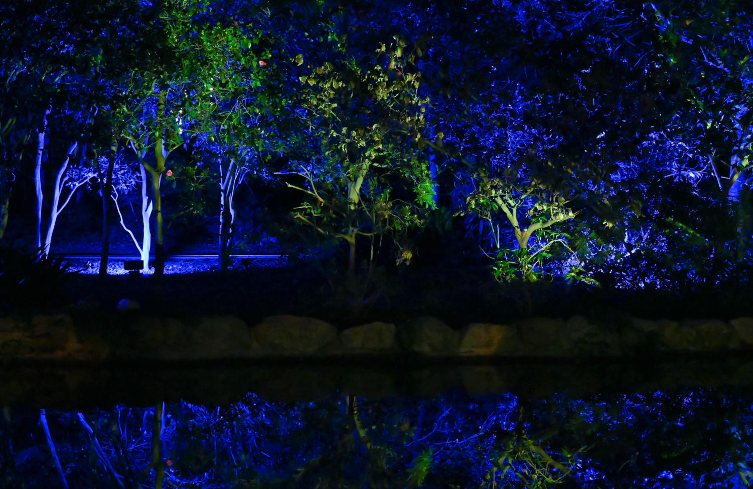 Take a stroll through the gardens