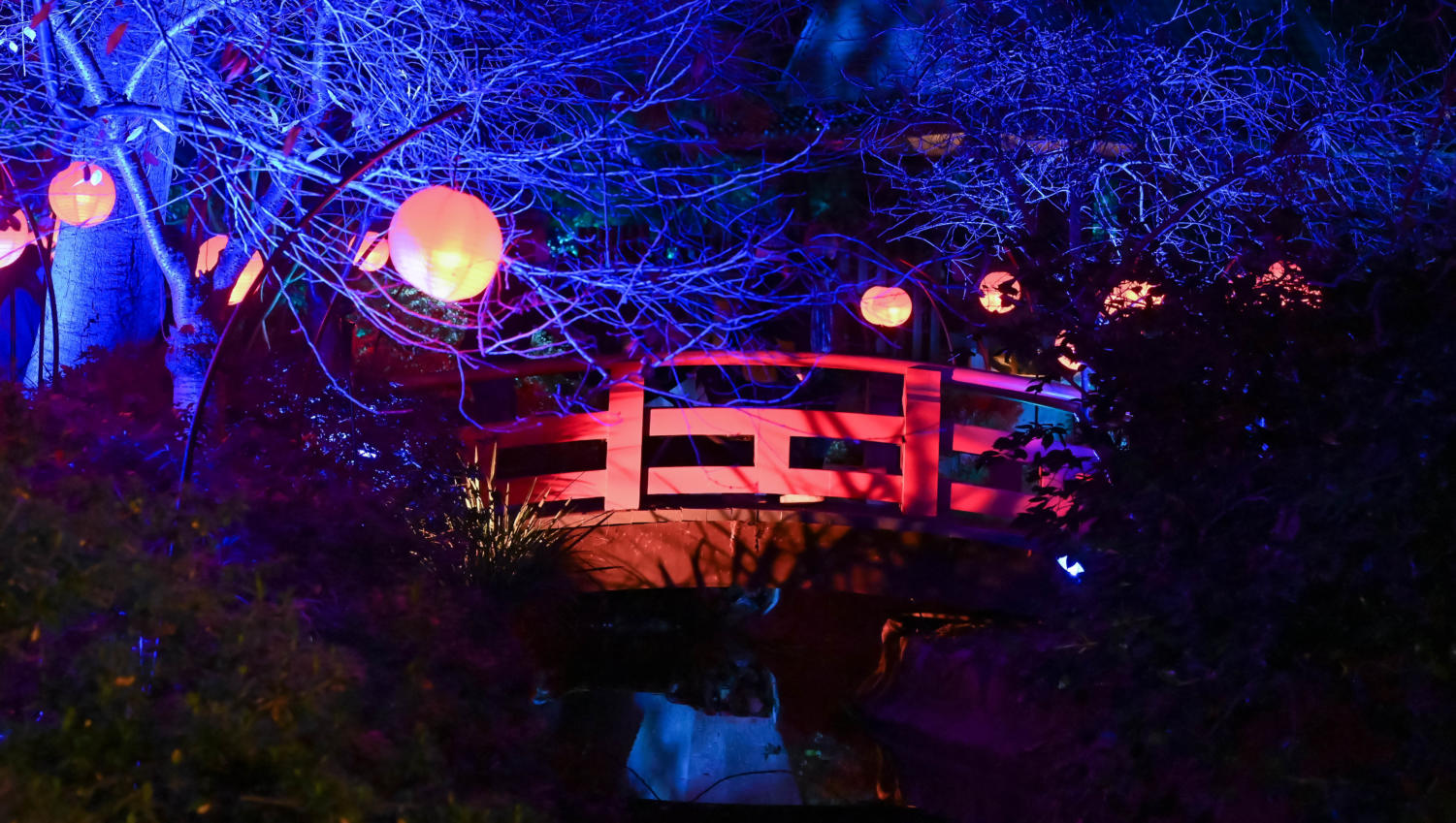 Take a stroll through the gardens