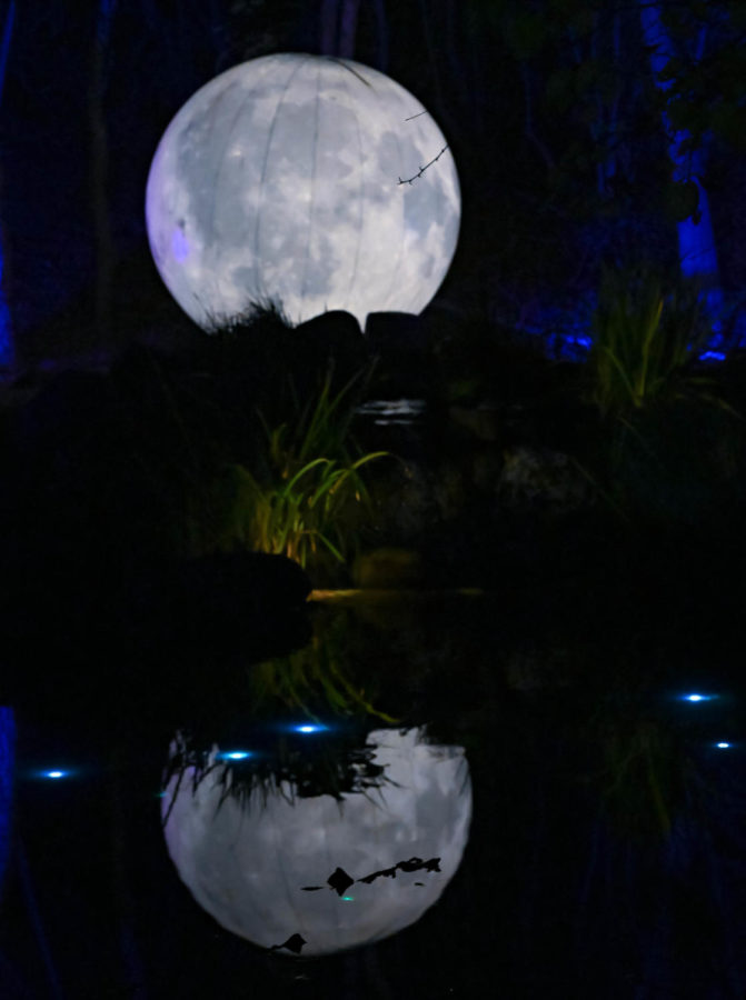 A blow up moon positioned on the edge of a pond, leaving the reflection to give a mirrored effect. 
