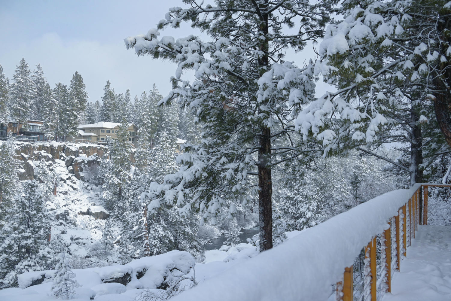Walking in a winter wonderland