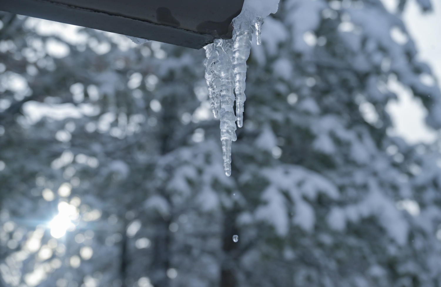 Walking in a winter wonderland