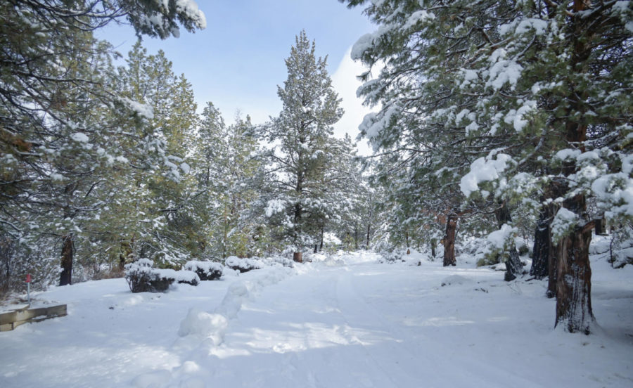 The private driveway of the cabin atop the Deschutes River astonishes visitors in its serenity. 