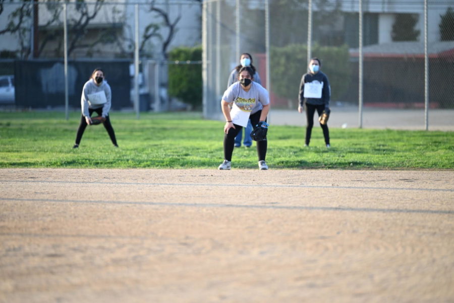 SOFTBALL | Stuck in a transitionary period