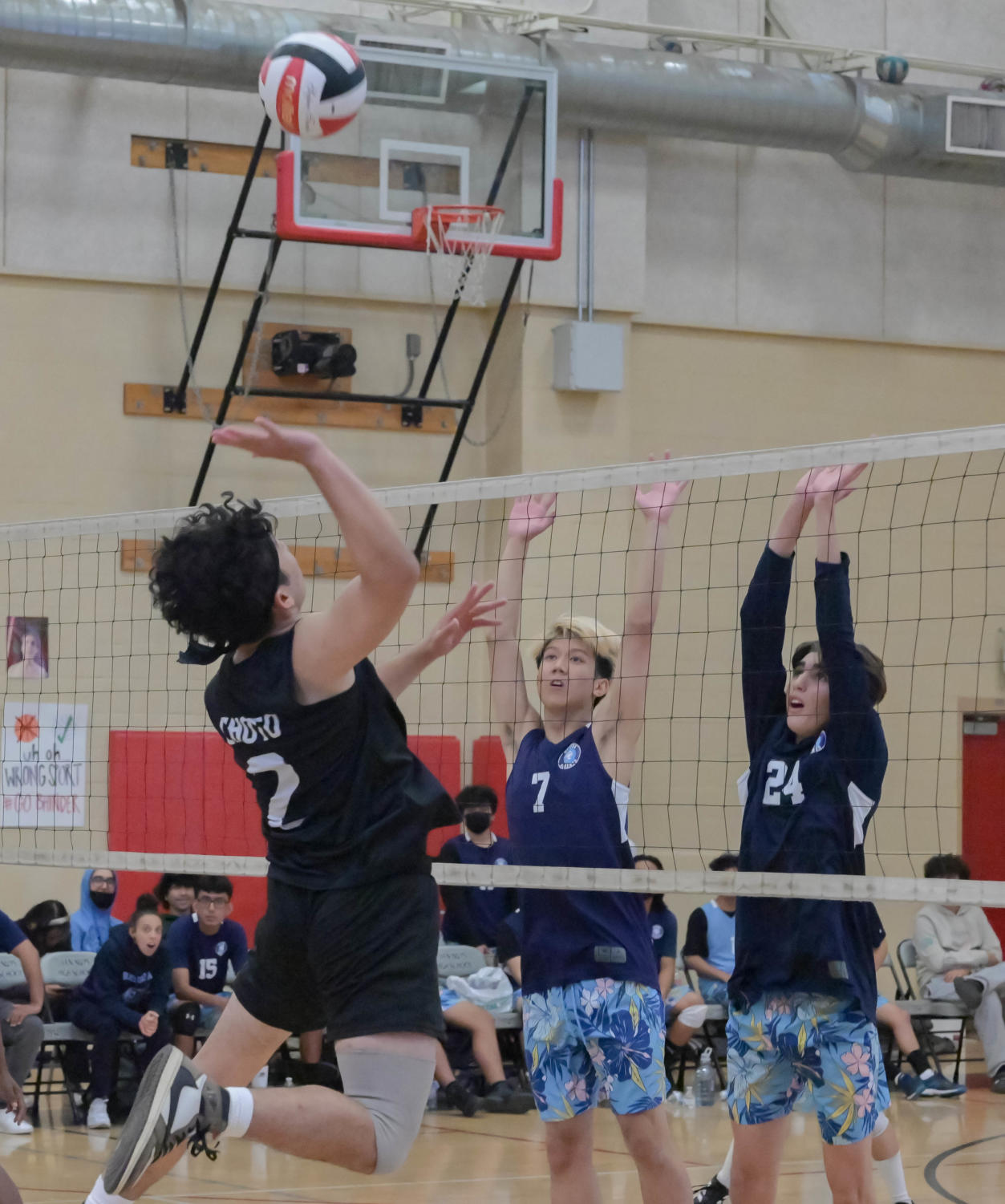 BOYS VOLLEYBALL | A senior night to remember