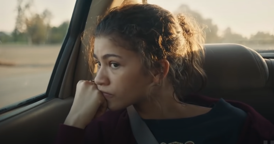While critics and fans praised Zendaya once again for her acting in the second season, reviews on the show were less consistent. 