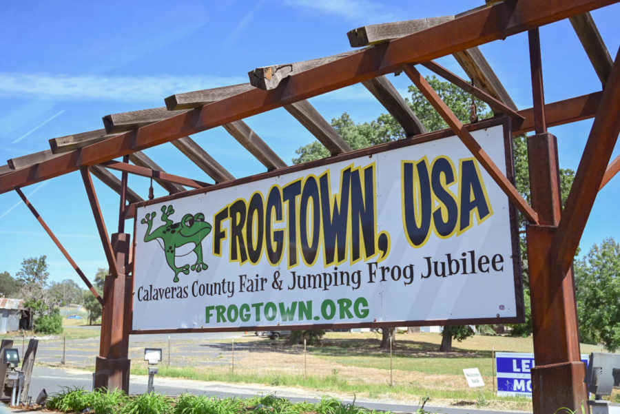 “Frogtown, USA” is a four-day festival in dedicated to Mark Twain’s “The Notorious Jumping Frog” in Angels Camp, California, that features all types of contests, auctions, food and frog-themed souvenirs.
