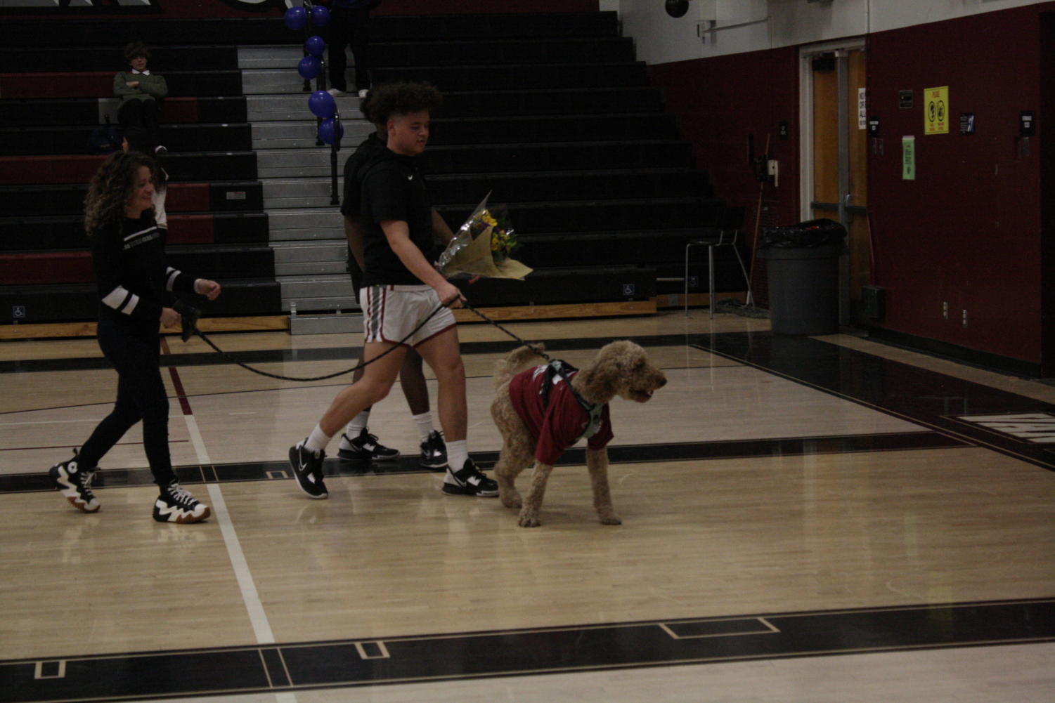 The Wolves reign victory on their Senior Night