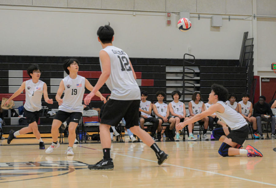 OVER THE NET The boys volleyball team, led by co-captains Nieco Erasmo and
Devin Brown, has led a fairly successful season with their overall score of
13-17, achieving fourth place in the Valley Mission League.