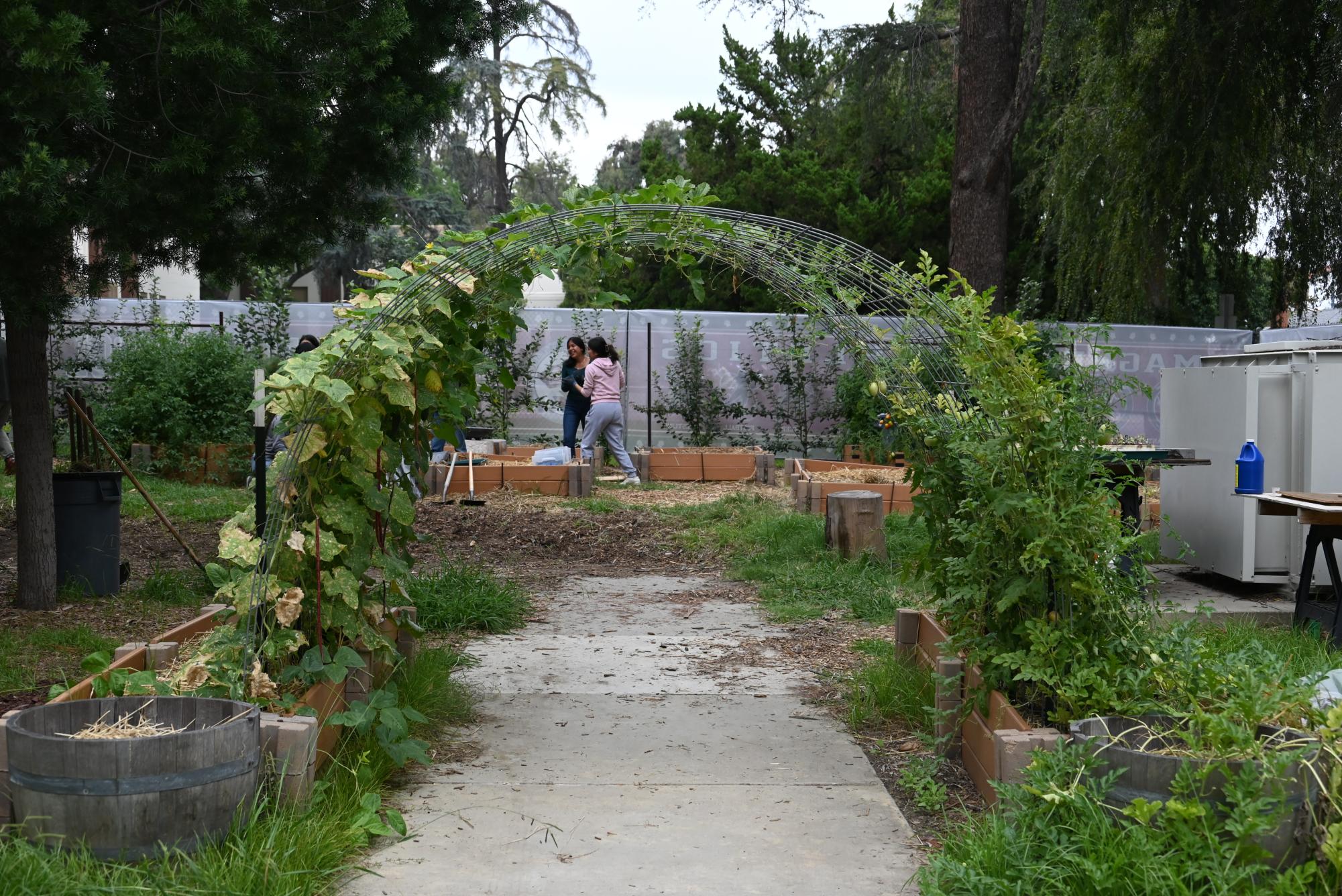 The Heart of Nature is a club that teaches students about the importance of gardening and its benefits. 