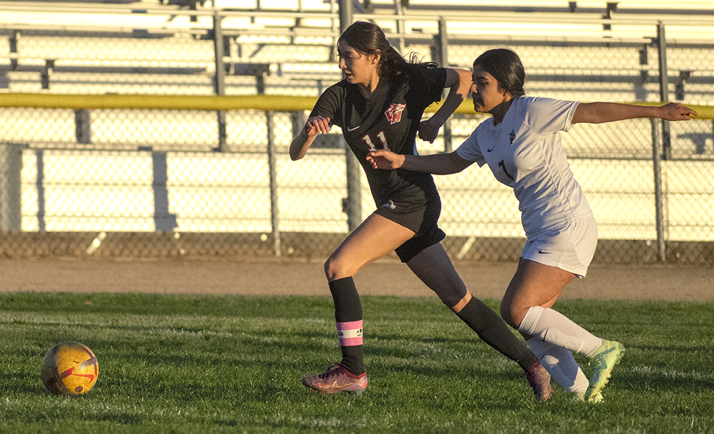The Pythons get stomped on as the Wolves score five goals, boosting their confidence going into their next game.