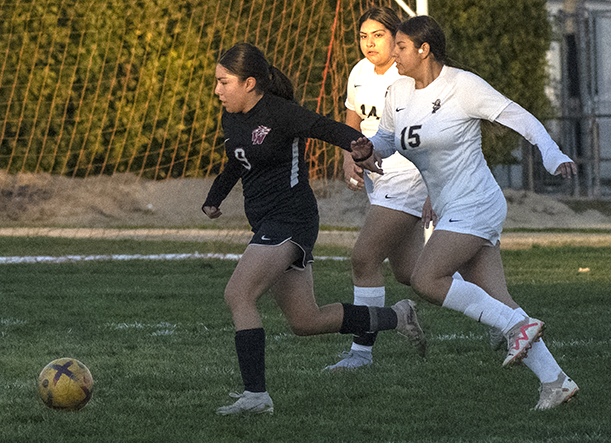 Elisabeth Tafoya (#9) outflanks the competition scoring four goals against the Panorama Pythons in the Wolves 5-0 win.


