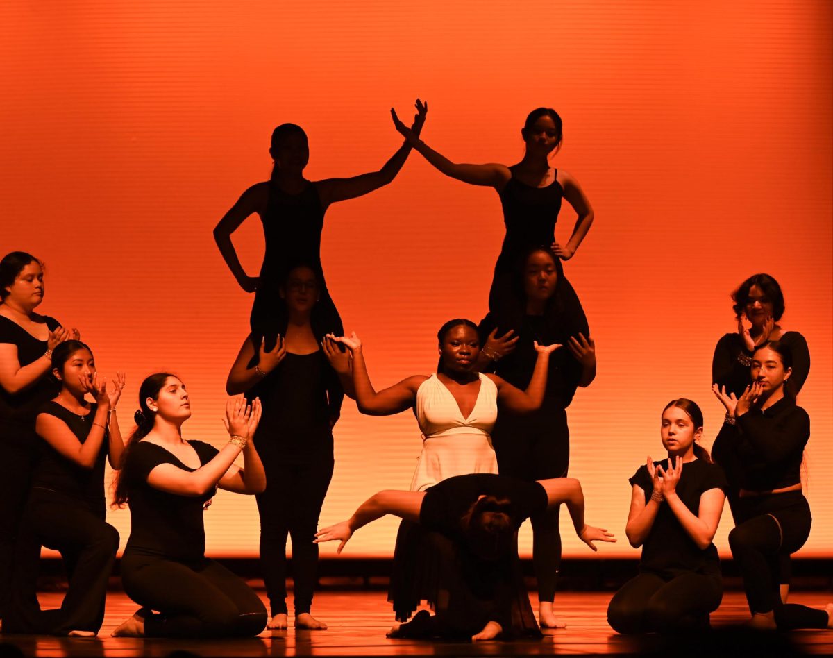Ms. Hulas beginner class struck a silhouetted pose, casting emotion and energy into the hearts of viewers.