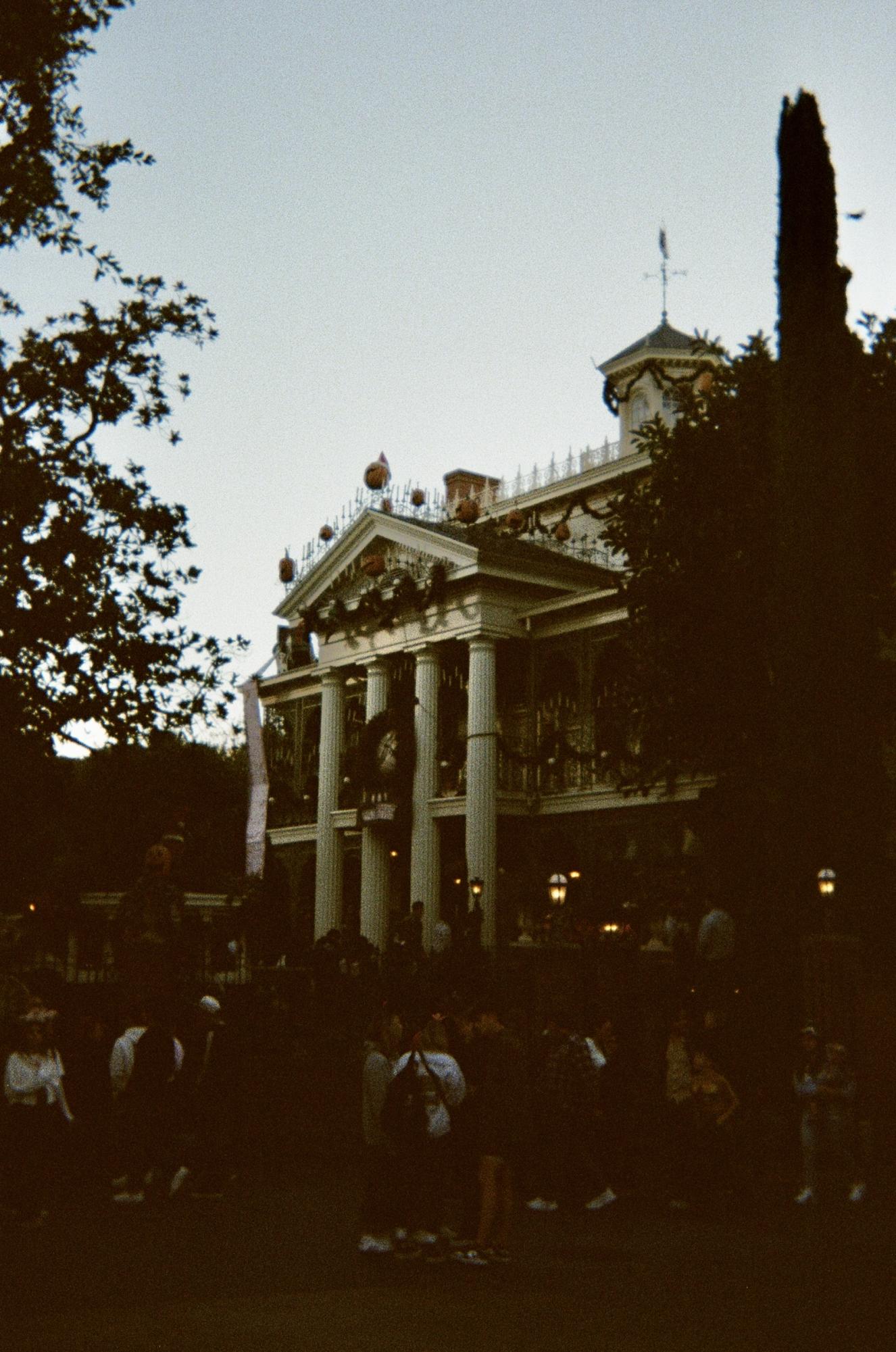DISNEY ON FILM