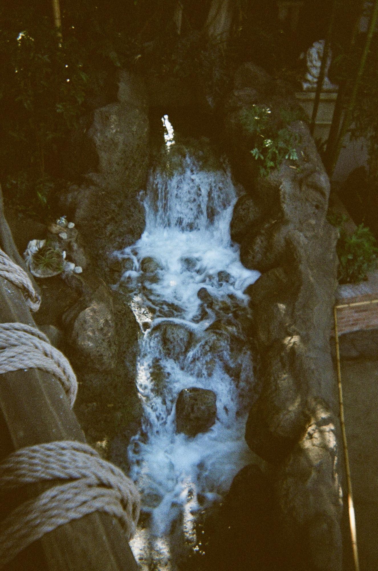 DISNEY ON FILM