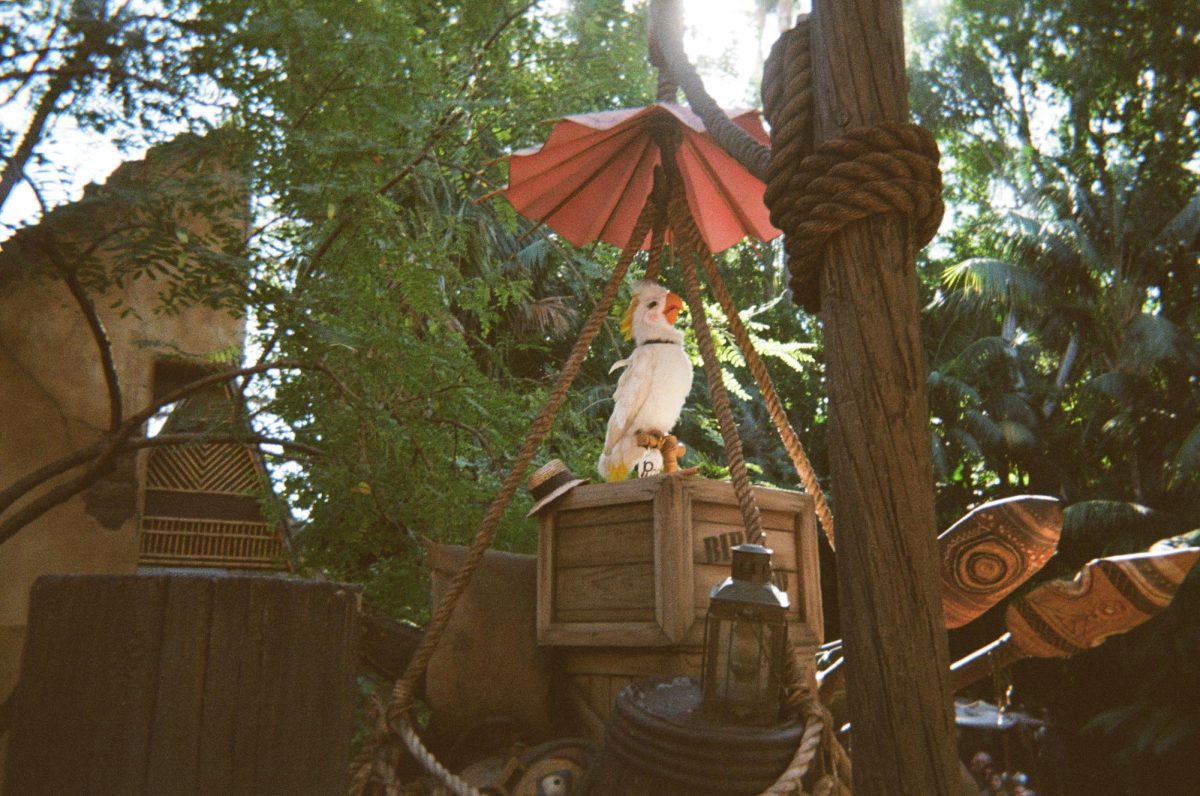  The Tropical Hideaway offers guests an oasis along a river to relax during their stay at the resort, complete with an animated parrot to keep company.