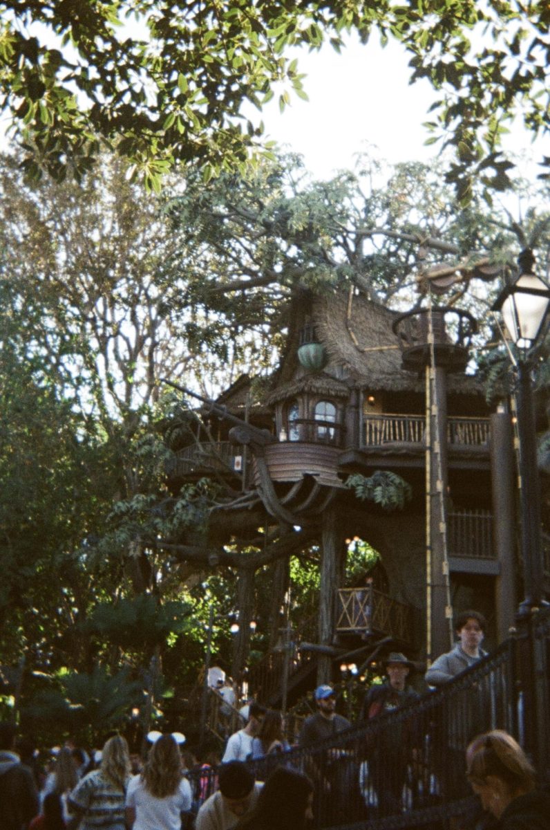 Guests climb the stairs of the newly opened Adventureland Treehouse, inspired by “The Swiss Family Robinson.”
