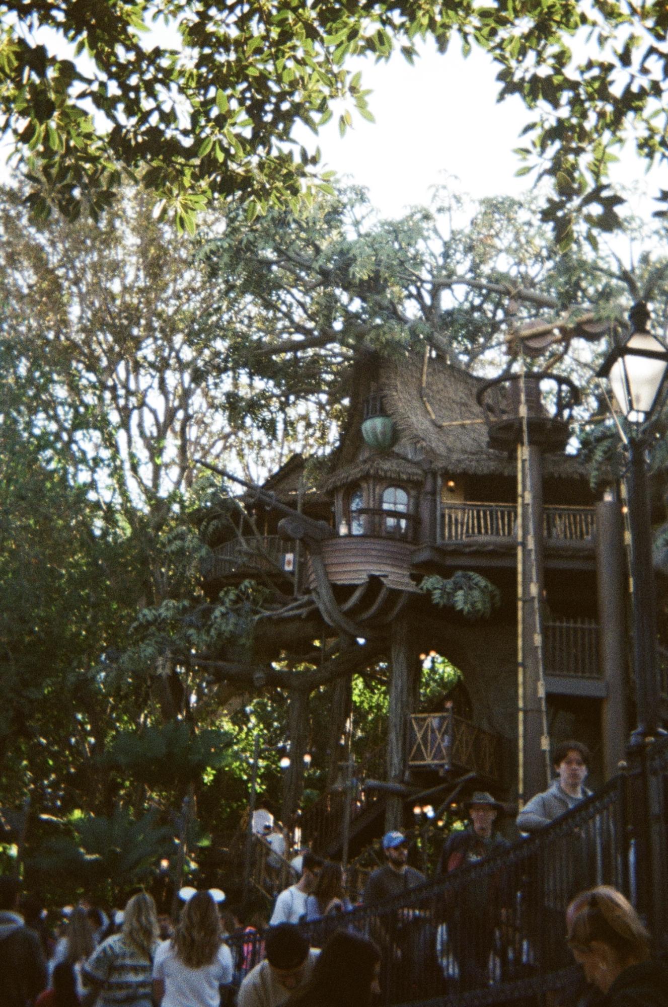 DISNEY ON FILM