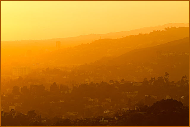 Admire Los Angeles from above