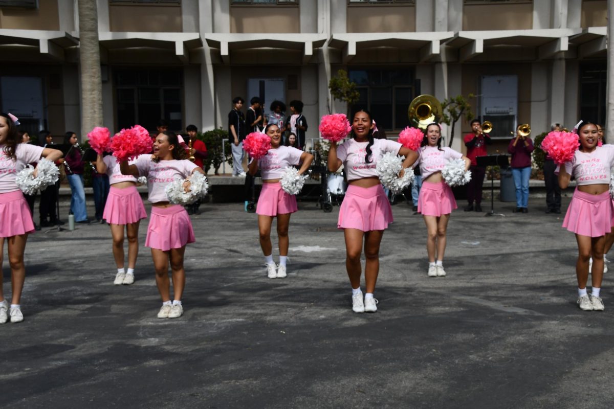 PLAY FOR AWARENESS | The football teams made their entrance through a tunnel of cheerleaders. Later at the football game, the team wore pink socks as they played against Reseda. After winning 38-0, pink confetti rained down on the bleachers as the students celebrated the team's victory.