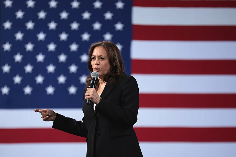  POSING HER WAY TO THE TOP |  Vice President Kamala Harris connects to young voters with a Gen-Z approach to campaigning for president.