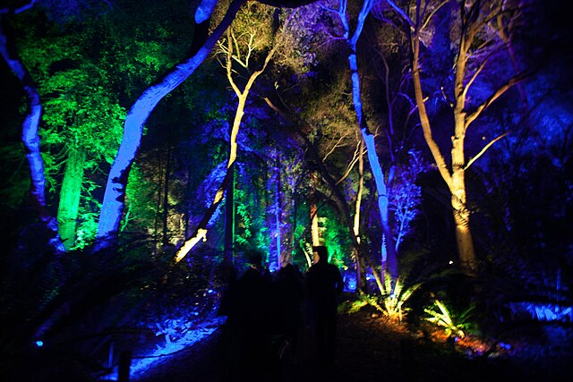 At the Enchanted: Forest of Light event, the Descanso Gardens transform into a breathtaking night of light exhibits, great scenery and interactive activities.