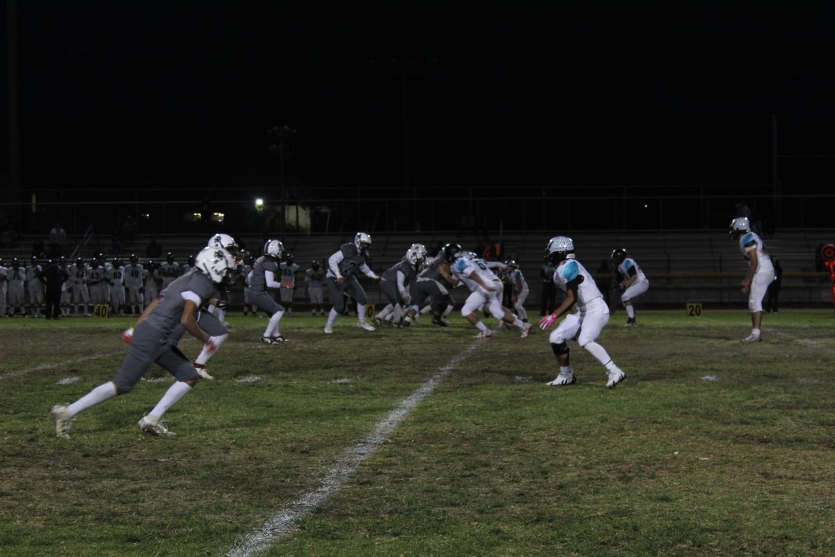 Wolves get ready to make a defensive stand as the opposing team lines up for the play.