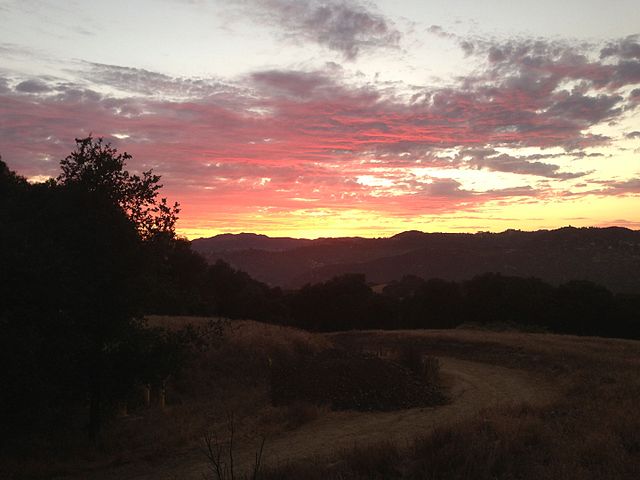 Unwind after a long day by stargazing at one of Los Angeles' many beautiful parks. 